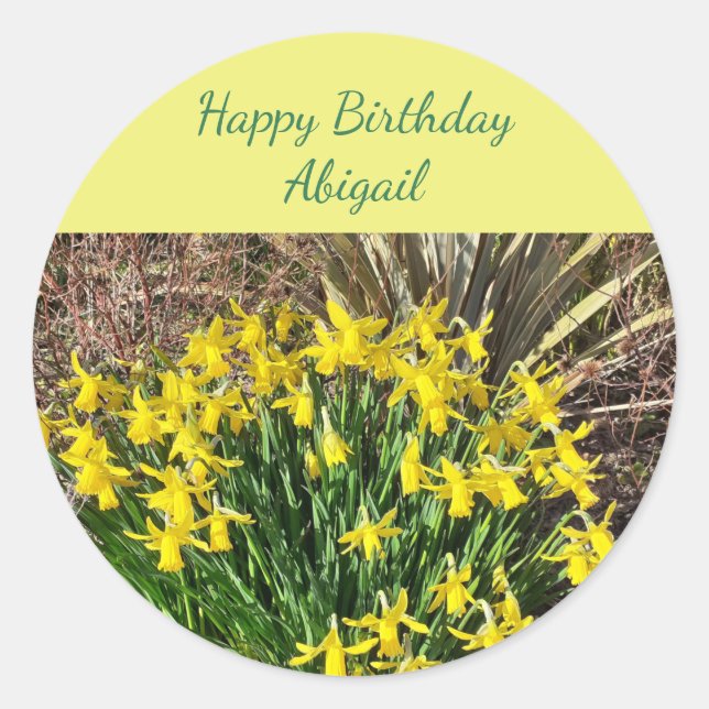 Adesivo Primavera Yellow Daffodils Birday (Frente)