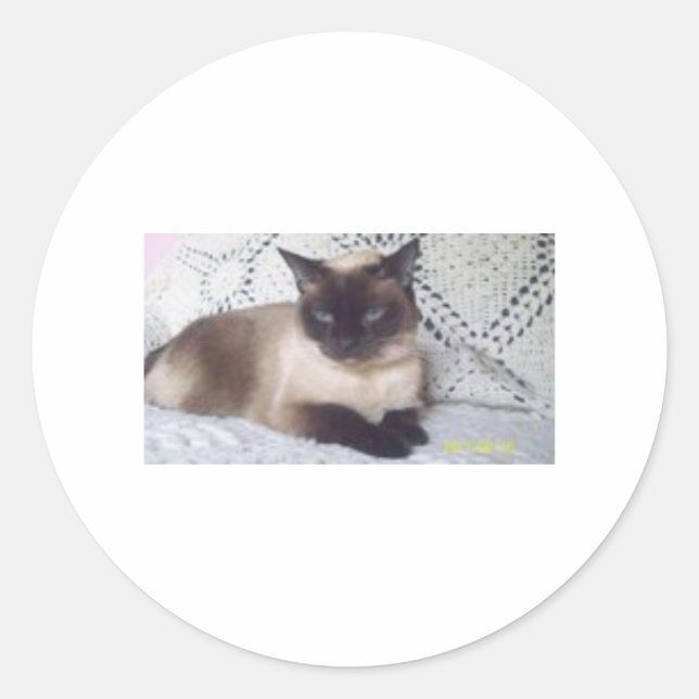 Adesivo Princesa (Frente)