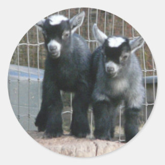 Adesivo Problemas duplos