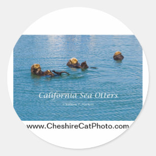 Adesivo Produtos California Sea Otter California