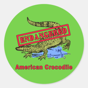 Adesivo Produtos Crocodilos Americanos Ameaçados