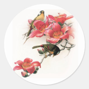 Adesivo Profusão cor-de-rosa