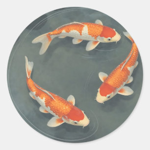 Adesivo Projeto de Serenidade de Lago de Peixes Koi Gracio