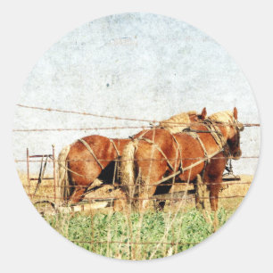 Adesivo Pronto Para O Trabalho, Dois Cavalos De Rascunho