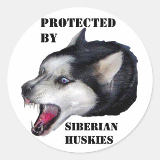 ADESIVO PROTEGIDO POR HUSKIES SIBERIANOS