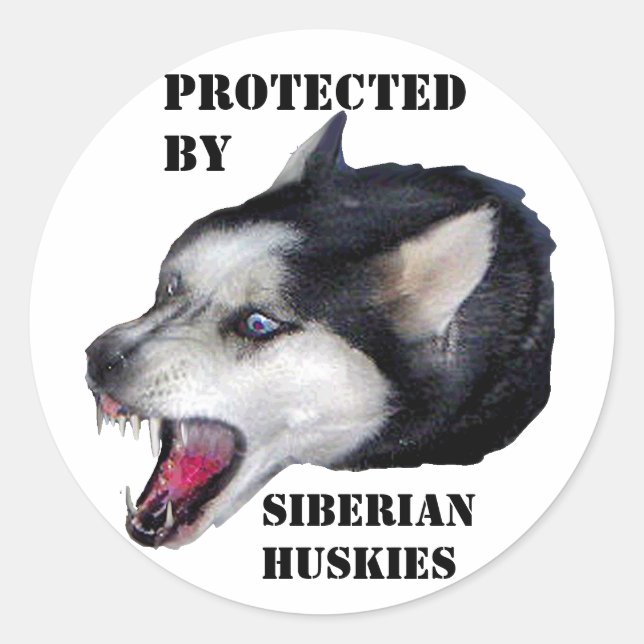 ADESIVO PROTEGIDO POR HUSKIES SIBERIANOS (Frente)