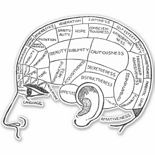 Adesivo Psicologia vintage frenologia cérebro de psiquiatr (Frente)