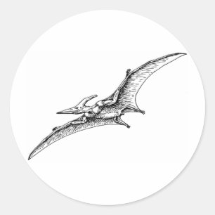 Adesivo Pterodactyl