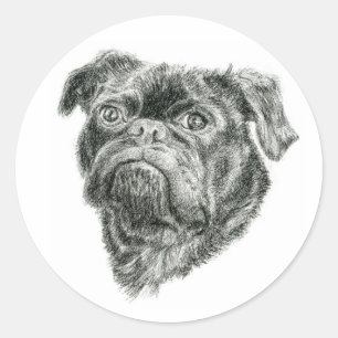 Adesivo Pug