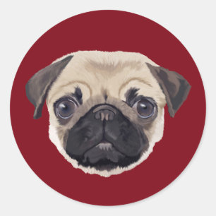 Adesivo Pug