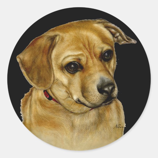 Adesivo Pug Dachsy Sticker (Frente)