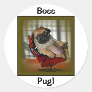 Adesivo Pug do chefe!