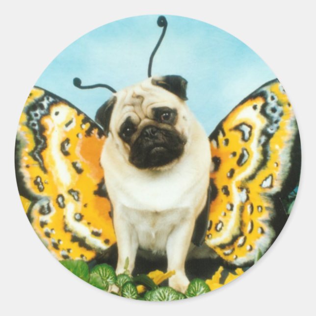 Adesivo Pug Dog Butterfly (Frente)