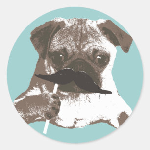 Adesivo Pug engraçado do bigode