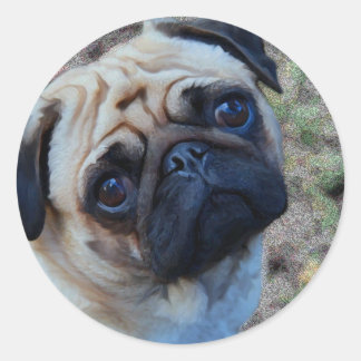 Adesivo Pug Esperançoso
