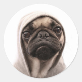 Adesivo Pug In A Hoodie