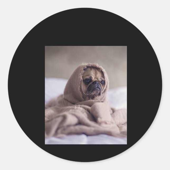 Adesivo Pug In Blanket Cute Pug Dover Gift (Frente)