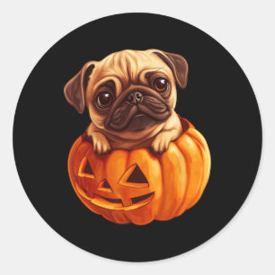 Adesivo Pug In Pumpkin Halloween Pugkin Cute Pug Halloween