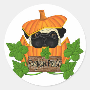 Adesivo Pug Pumpkin Patch