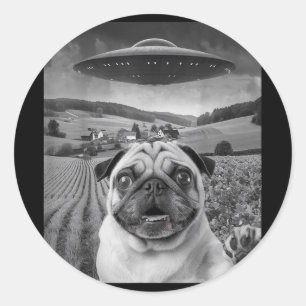 Adesivo Pug Selfie Com Alienígena Ufo Engraçado Presente P