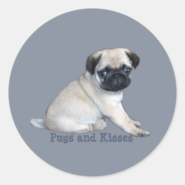 Adesivo Pug Sticker (Frente)