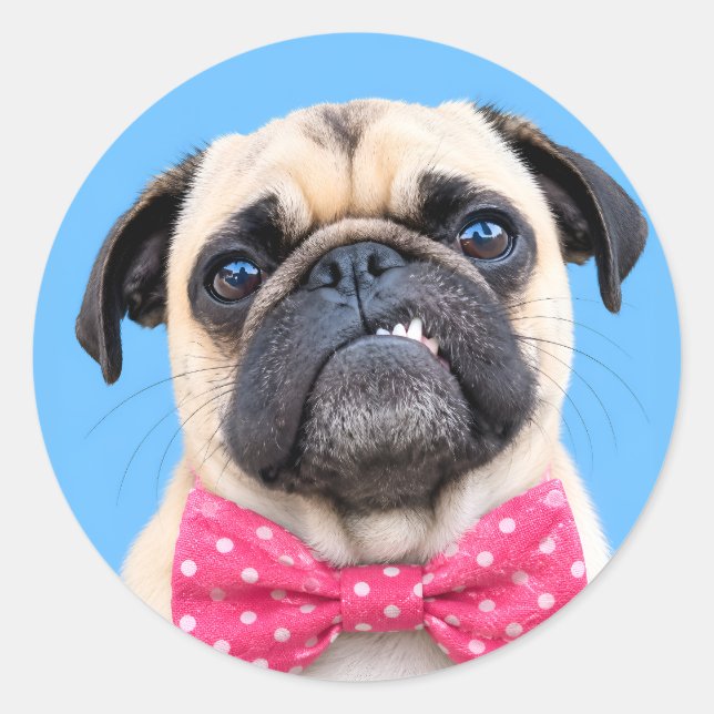 Adesivo Pug Usando Laço Rosa (Frente)