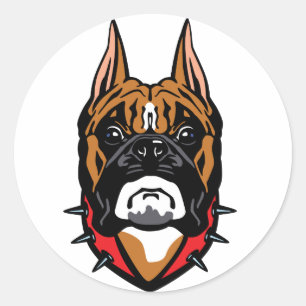 Adesivo pugilista