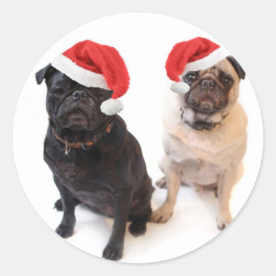 Adesivo pugs do Natal