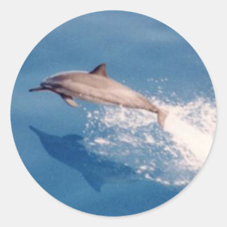 Adesivo Pulso de Sticker-Dolphin