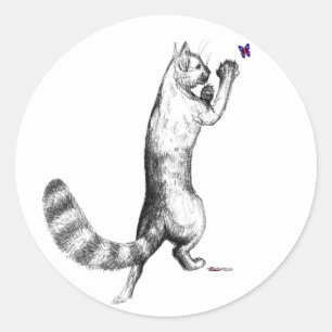 Adesivo Pulverização de Gatos