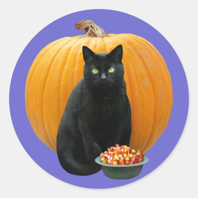 Adesivo Pumpkin de Gato Negro (Frente)