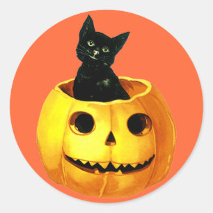 Adesivo Pumpkin e Gato Preto de Vintage Bonito para Divers