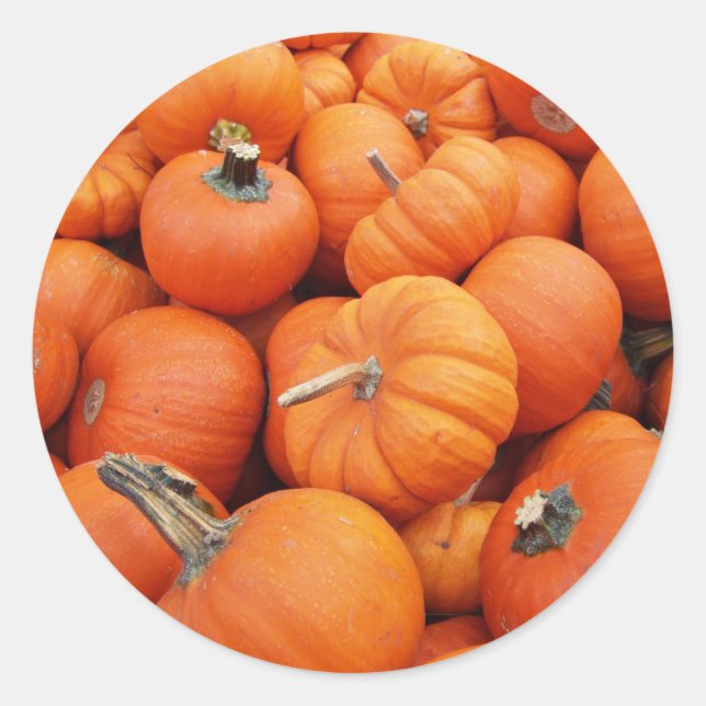 Adesivo Pumpkin Sticker (Frente)