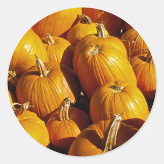 Adesivo Pumpkin Stickers