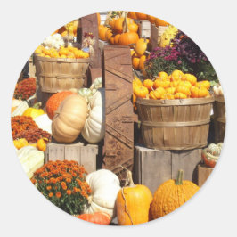 Adesivo Pumpkins com punhos brilhantes
