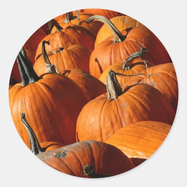Adesivo Pumpkins Sticker (Frente)