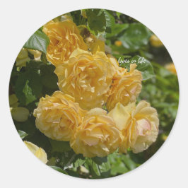 Adesivo Punhado de Rosas de Jardim Amarelas 