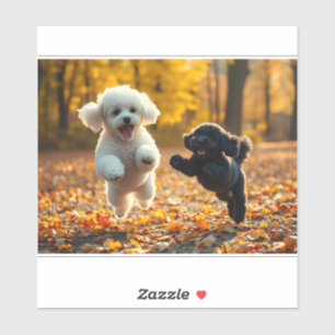 Adesivo Puppies de Poodle