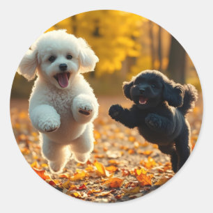 Adesivo Puppies de Poodle