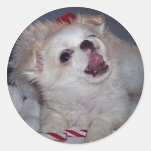 Adesivo Puppins de Natal