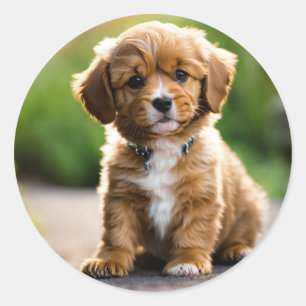 Adesivo Puppy