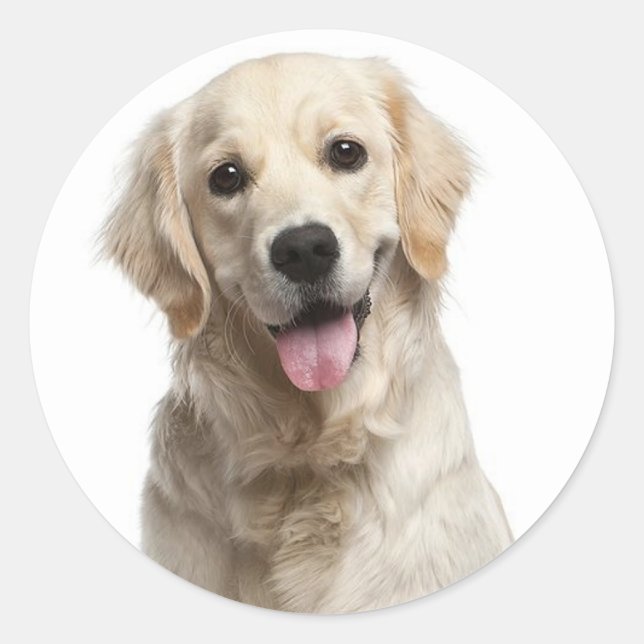 Adesivo Puppy Dog Stickers Com Retriever de Ouro (Frente)