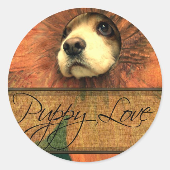 Adesivo Puppy Love Olhando através de uma cerca (Frente)
