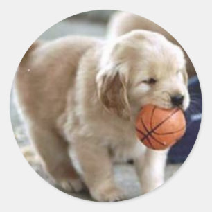 Adesivo Puppy Stickers