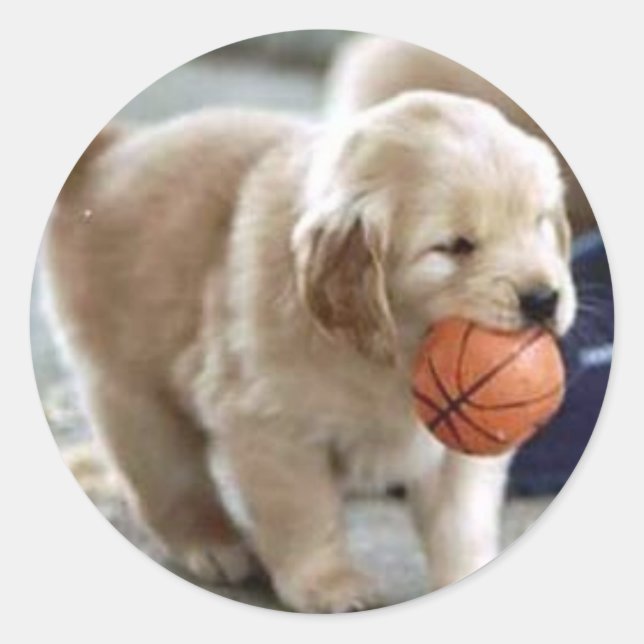 Adesivo Puppy Stickers (Frente)