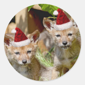 Adesivo Pups de Coyote de Natal