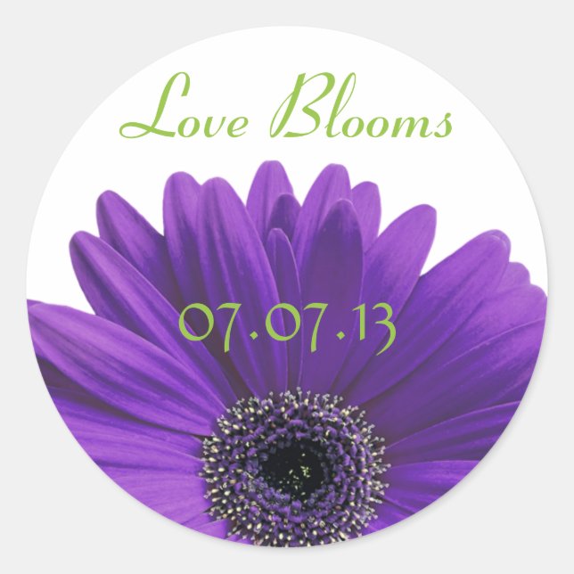 Adesivo Purple Gerbera Daisy Love Blooms Stickers (Frente)