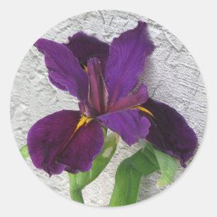 Adesivo Purple Iris
