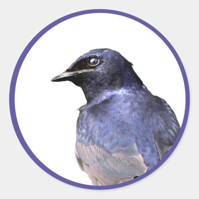 Adesivo Purple Martin (Frente)