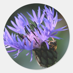 Adesivo Púrpura Blue Cornflower Gift Sticker